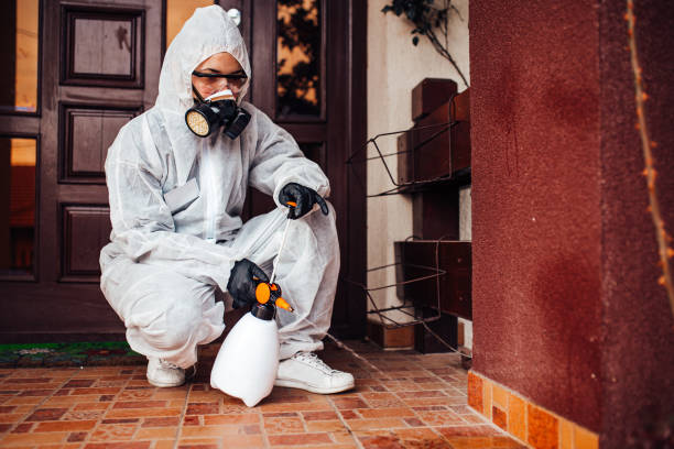 Reliable Cockroach Control contractor in Humble, TX by Nex Pest Control